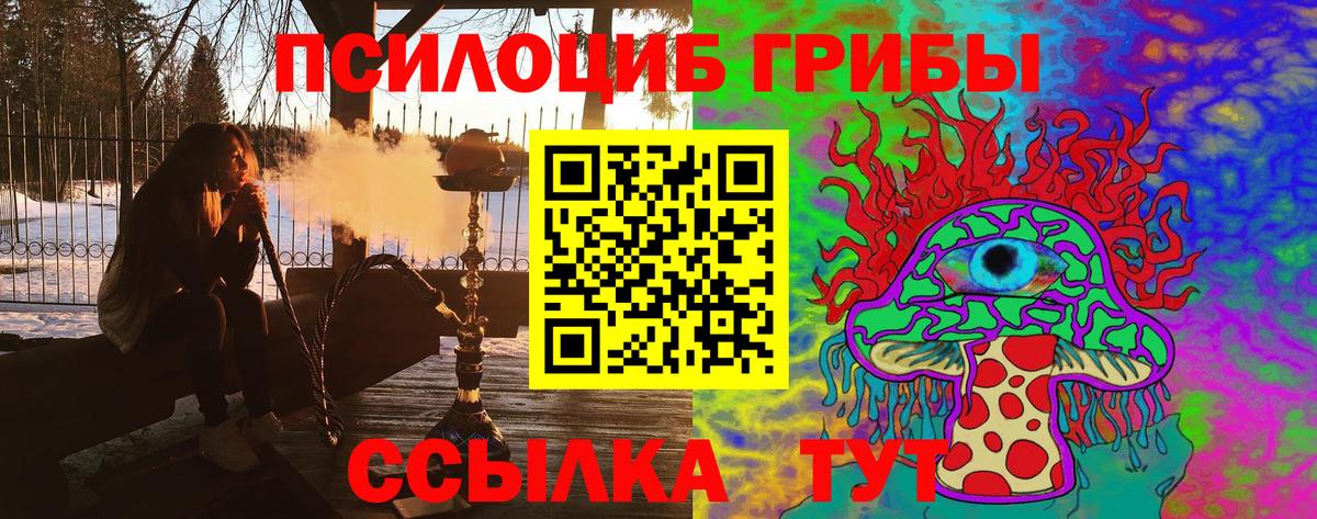 Псилоцибиновые грибы MAGIC MUSHROOMS  Галлюциногенные грибы Psilocybe  даркнет сайт  Вход с VPN  Новочебоксарск 
