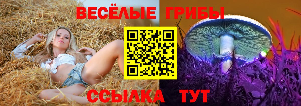 Галлюциногенные грибы Magic Shrooms Новочебоксарск